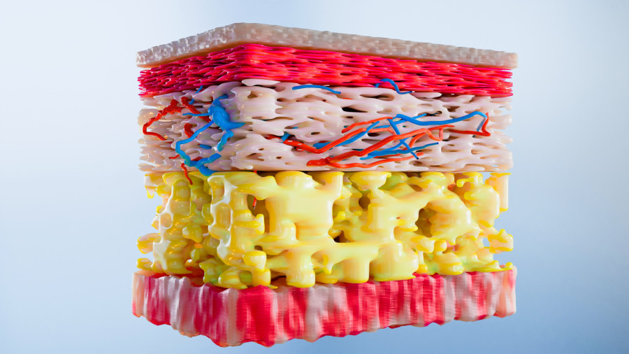 Nije svejedno kako mršavite: Ne morate uvek da budete gladni