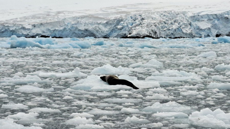 Popio sam vodu iz glečera, pravi eliksir: Naučnik duže od meseca na Antarktiku FOTO
