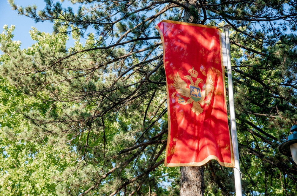 Predstavnici DNP-a podnose ostavke na funkcije u Vladi Crne Gore; Danas sednica Predsedništva DNP-a FOTO