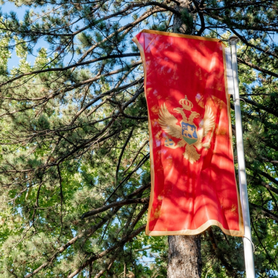 Predstavnici DNP-a podnose ostavke na funkcije u Vladi Crne Gore; Danas sednica Predsedništva DNP-a FOTO