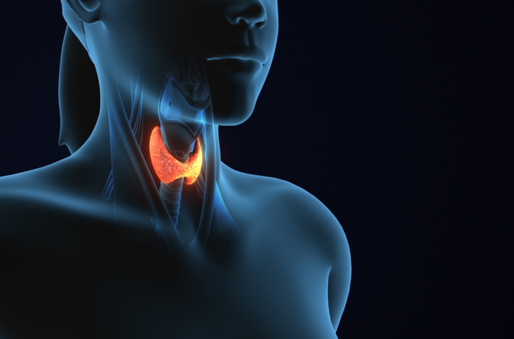 Stručnjaci upozoravaju; oprezno sa ishranom: Gluten može pogoršati Hašimoto