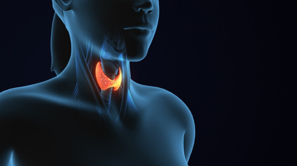 Stručnjaci upozoravaju; oprezno sa ishranom: Gluten može pogoršati Hašimoto