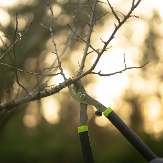 Svi ih zovu, retko ko ih dobije: Ove majstore sada svi traže