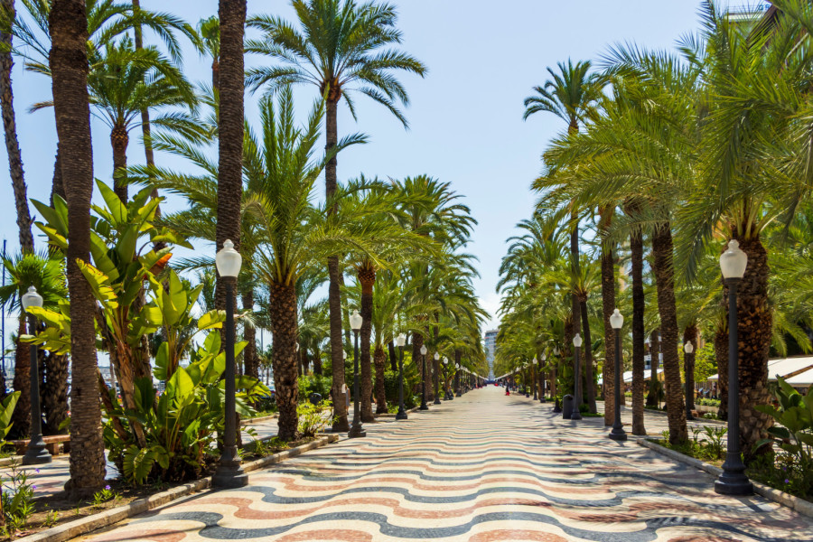 Smeštaj u španskoj oazi već za 50 evra: Ovo je idealna destinacija i za prolećni i za letnji odmor