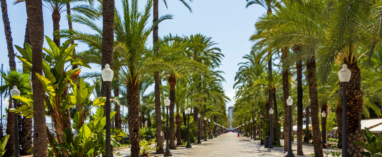 Španski biser nikad dostupniji: Srbi sve češće putuju na ovu destinaciju, a zimi ima posebnu čar FOTO