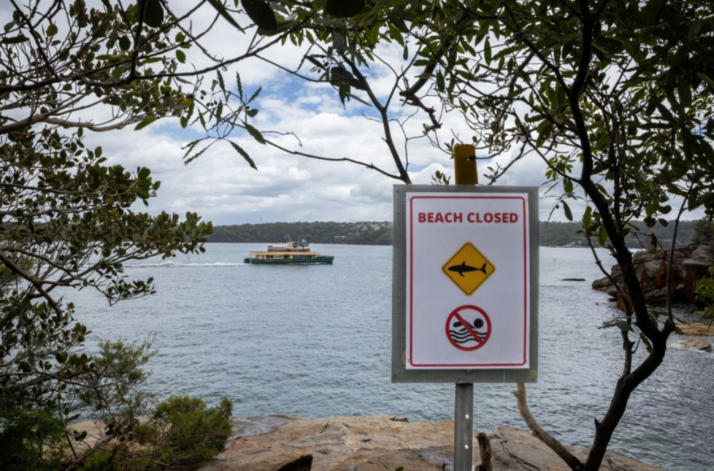 Srce veće od straha: Trinaestogodišnjak plivao četiri sata da bi spasao majku, brata i sestru FOTO/VIDEO