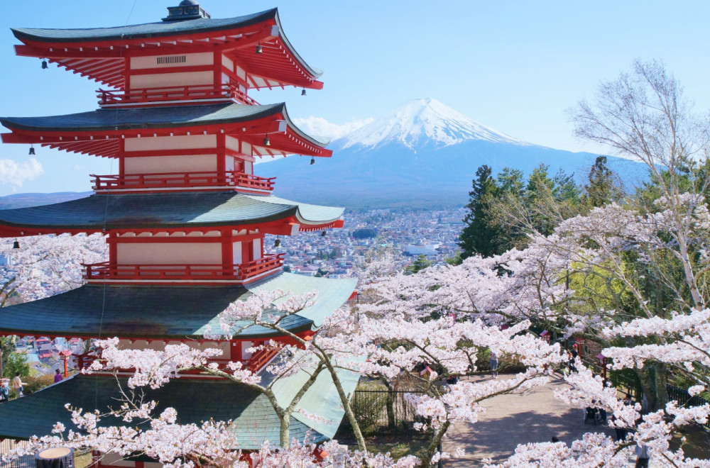 Otkazan čuveni festival: Obavljali nuždu u našim dvorištima