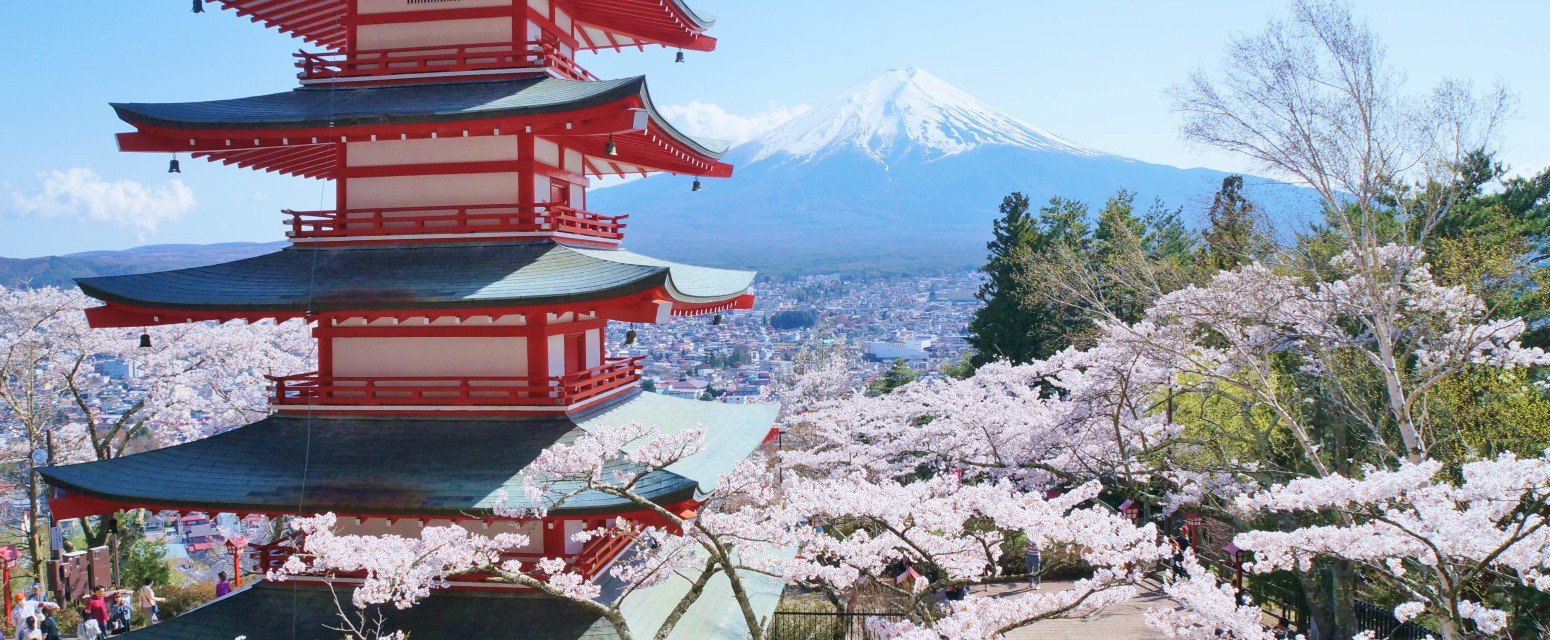 Otkazan čuveni festival: "Obavljali nuždu u našim dvorištima"