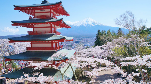 Otkazan čuveni festival: "Obavljali nuždu u našim dvorištima"