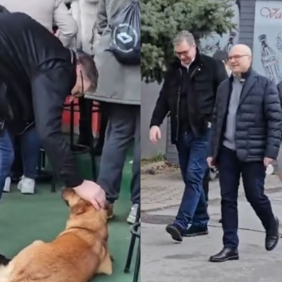 Vučić prošetao Novim Sadom: Razgovarao i fotografisao se sa građanima FOTO/VIDEO