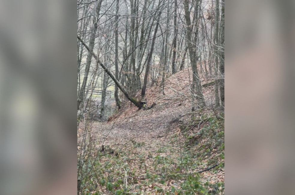 Lovci tragali za divljom svinjom pa snimili nešto što se retko viđa: Razgalili srca mnogih VIDEO