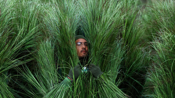 Amerika uzdrmana: Ceo svet priča o nastupu Bed Banija na Superboulu FOTO/VIDEO