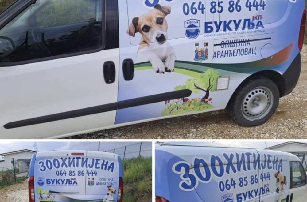 Sistem koji daje rezultate: Aranđelovac smanjio broj napuštenih pasa na ulicama