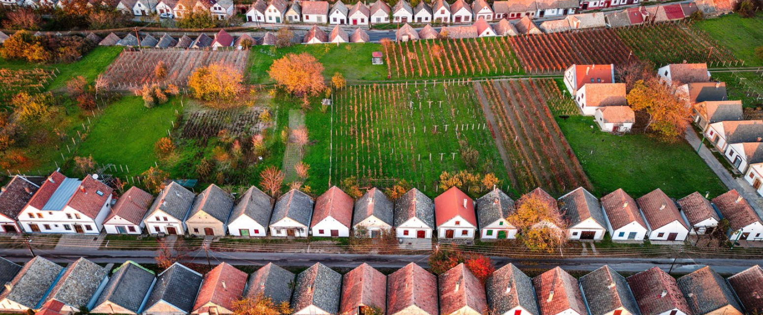 Skriveni raj za ljubitelje vina: Mesto koje menja pravila igre VIDEO