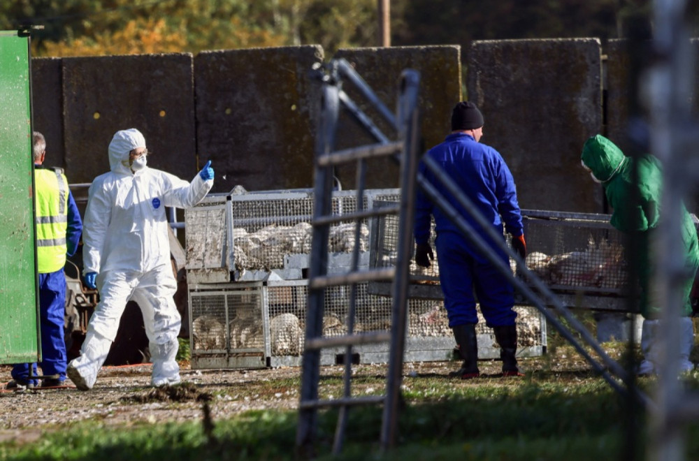 Stručnjaci upozoravaju na opasan virus: Prenosi se i na đonovima cipela