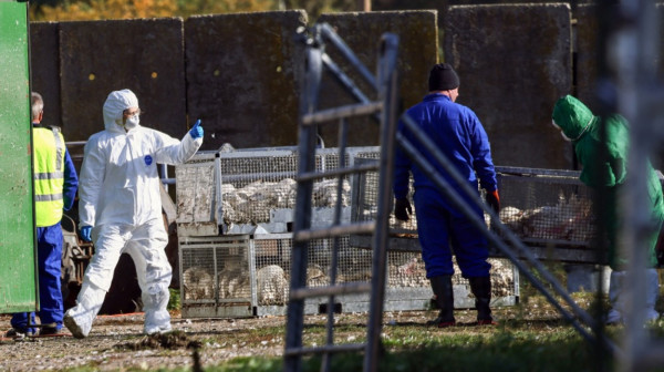 Stručnjaci upozoravaju na opasan virus: Prenosi se i na đonovima cipela