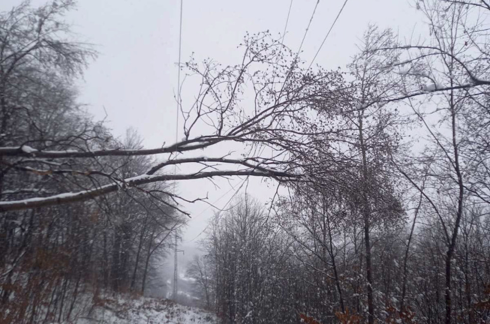Haos na srpskoj planini: Autobusi zaglavljeni – sneg napravio kolaps VIDEO