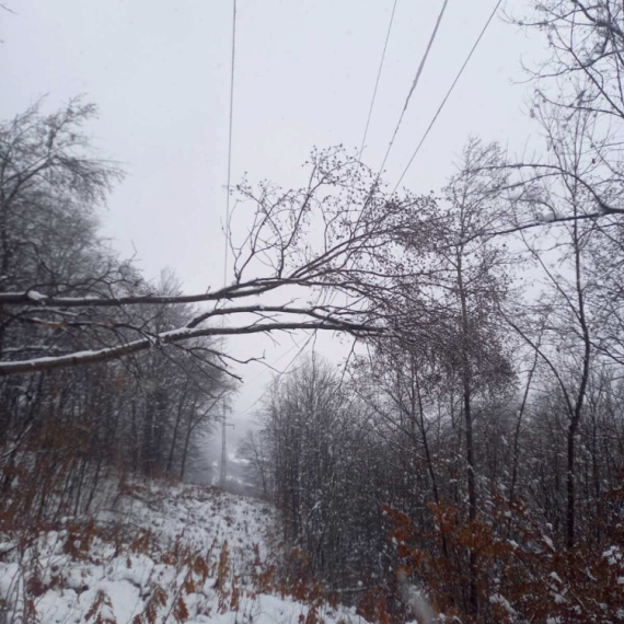 Haos na srpskoj planini: Autobusi zaglavljeni – sneg napravio kolaps VIDEO