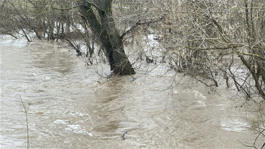 Čačku preti poplava? Reka došla nadomak kuća; Meštani strahuju FOTO