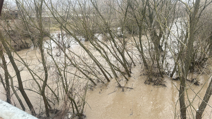 Čačku preti poplava? Reka došla nadomak kuća; Meštani strahuju FOTO