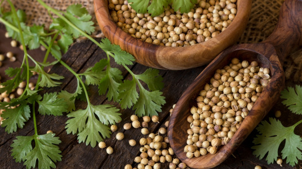 Nepravedno zanemaren začin može da snizi krvni pritisak i holesterol: Često se dodaje u variva