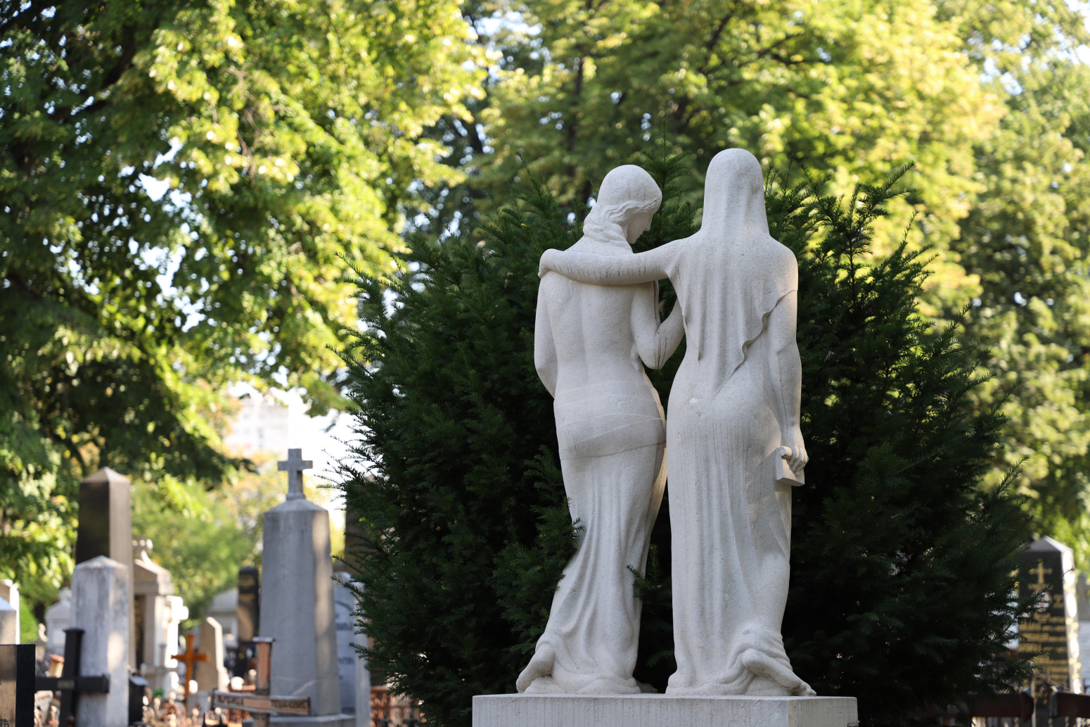 Nova sezona besplatnih vođenih obilazaka Novog groblja