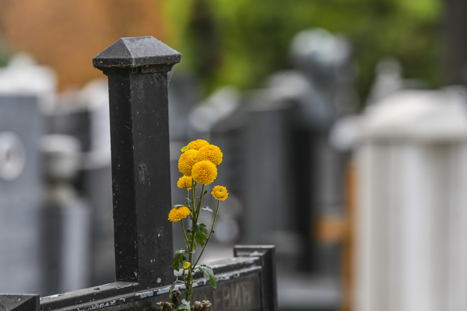 Šta su naknade za zakup, uređenje i održavanje površine groblja i kada se plaćaju?