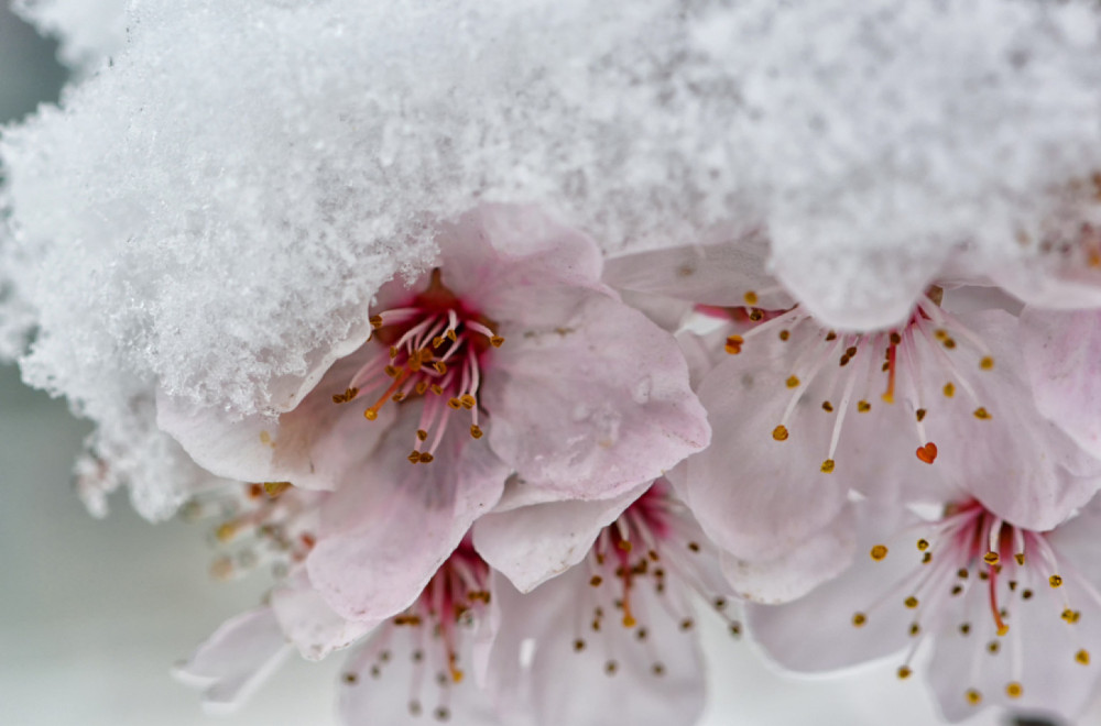 "Baba Marta" će nas iznenaditi? Ovo je prognoza za narednih mesec dana FOTO