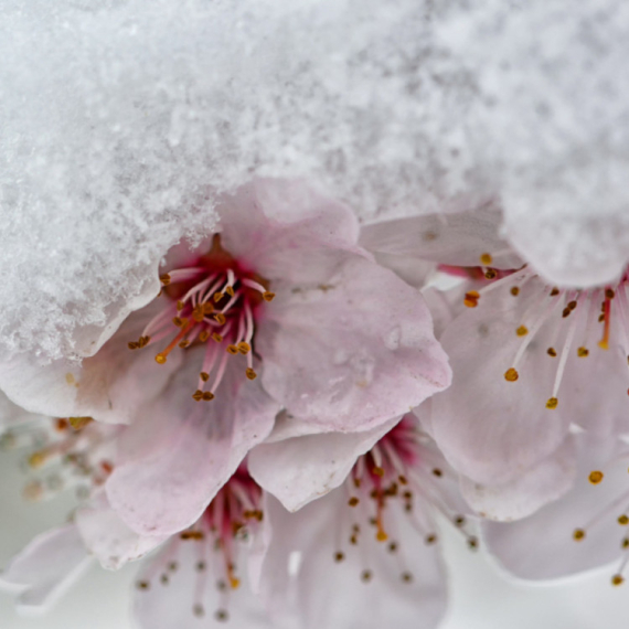 "Baba Marta" će nas iznenaditi? Ovo je prognoza za narednih mesec dana FOTO