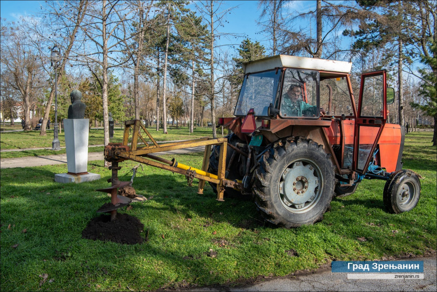 Druga faza rekonstrukcije Karađorđevog parka: Zasađeno 180 novih sadnica FOTO