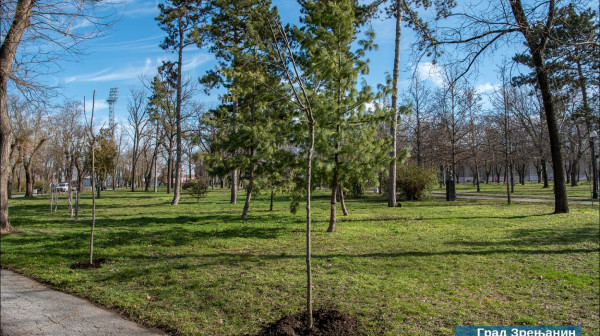 Druga faza rekonstrukcije Karađorđevog parka: Zasađeno 180 novih sadnica FOTO