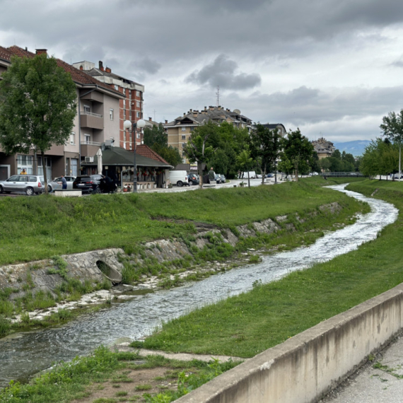 Radovi na uređenju korita reke Despotovice u punom jeku FOTO