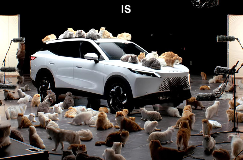 Neobična kampanja: Kineski automobil u Engleskoj promovišu mačke VIDEO