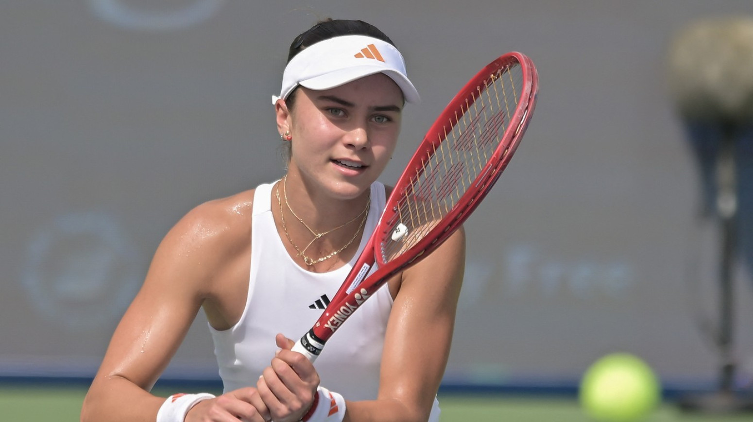 Neka vas gledaju kao što Iva gleda Novaka VIDEO