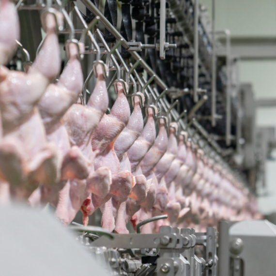 Veliki planovi pali u vodu: Ukrajinski projekat stopiran