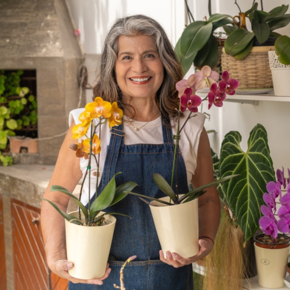 Zašto bi svako domaćinstvo trebalo da ima orhideju?