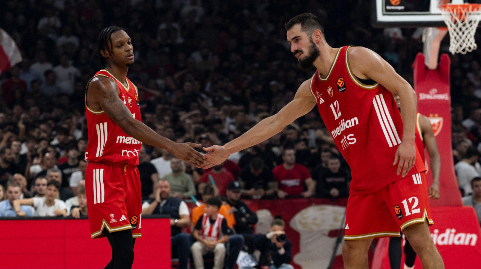 Zvezda prvi put sa Klužom – Obradović ima pojačanje u timu