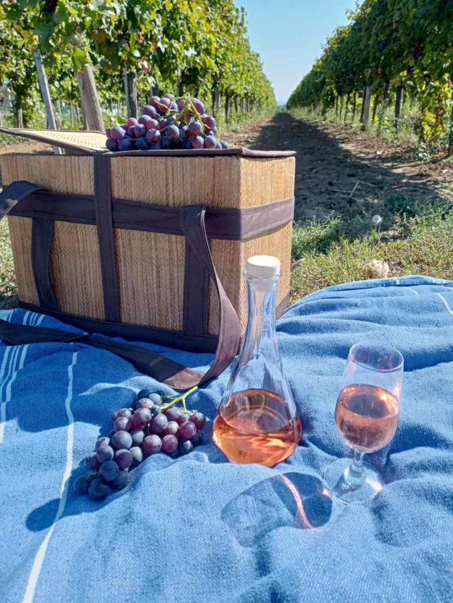 Nekada mirno mesto, danas turistički magnet: Banja u Srbiji očarava tradicijom, a leči brojne bolesti FOTO