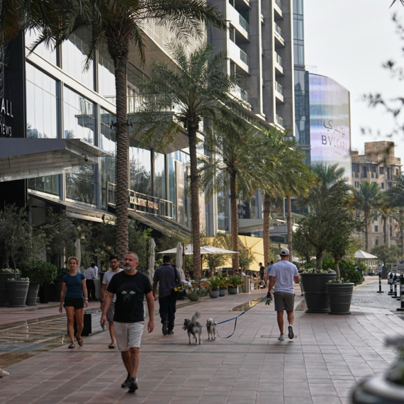 Nove muke za Dubai: U nemilosti zbog kućnih ljubimaca