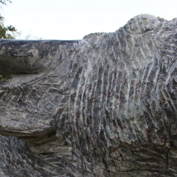 Iskon je najmoćniji bik u Srbiji: Građen je od specijalnog kamena koji je stigao čak iz Brazila FOTO