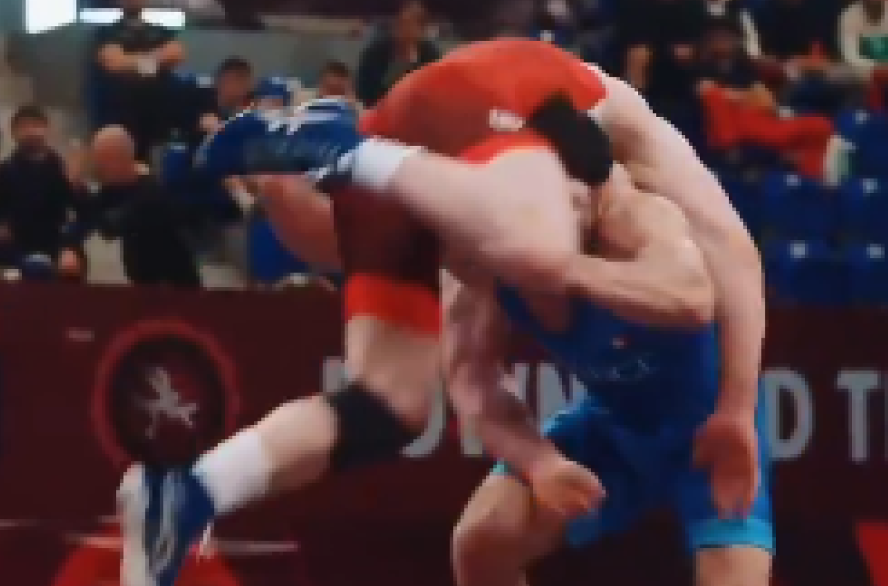 Leteća veverica u Zrenjaninu zadivila svet VIDEO