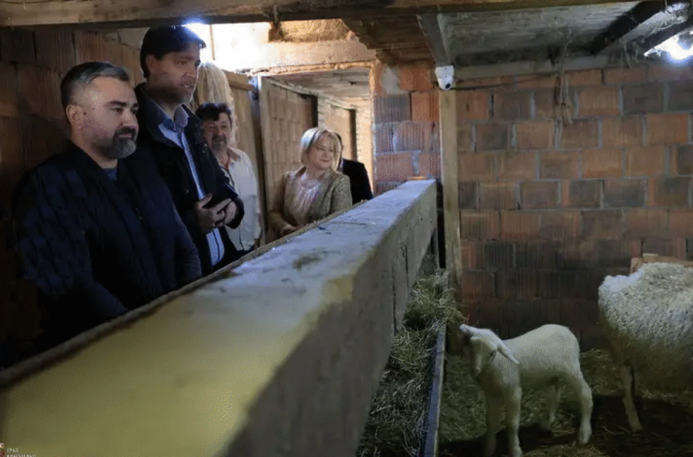 Milko sa porodicom obrađuje 13 hektara zemlje u srcu Šumadije: Ovo je njegova poruka FOTO