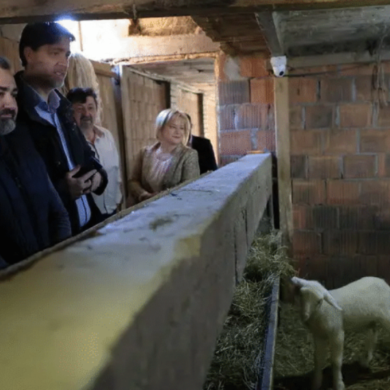 Milko sa porodicom obrađuje 13 hektara zemlje u srcu Šumadije: Ovo je njegova poruka FOTO