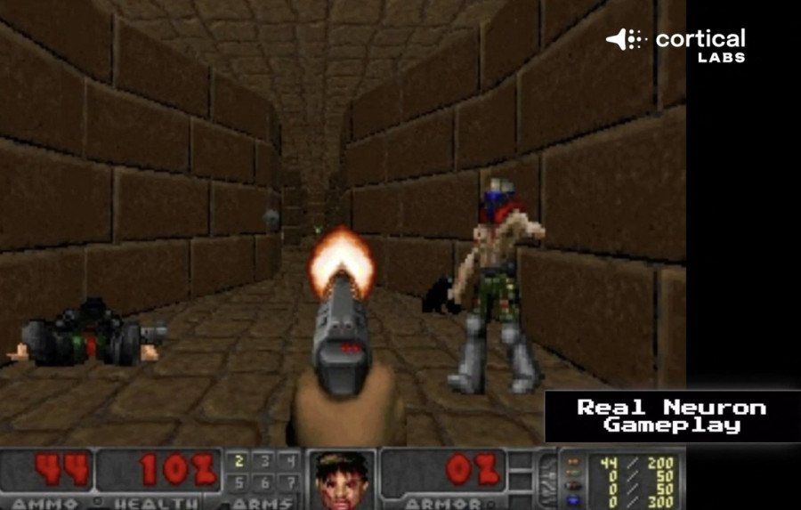 Naučnici stvorili živi računar bez mozga FOTO