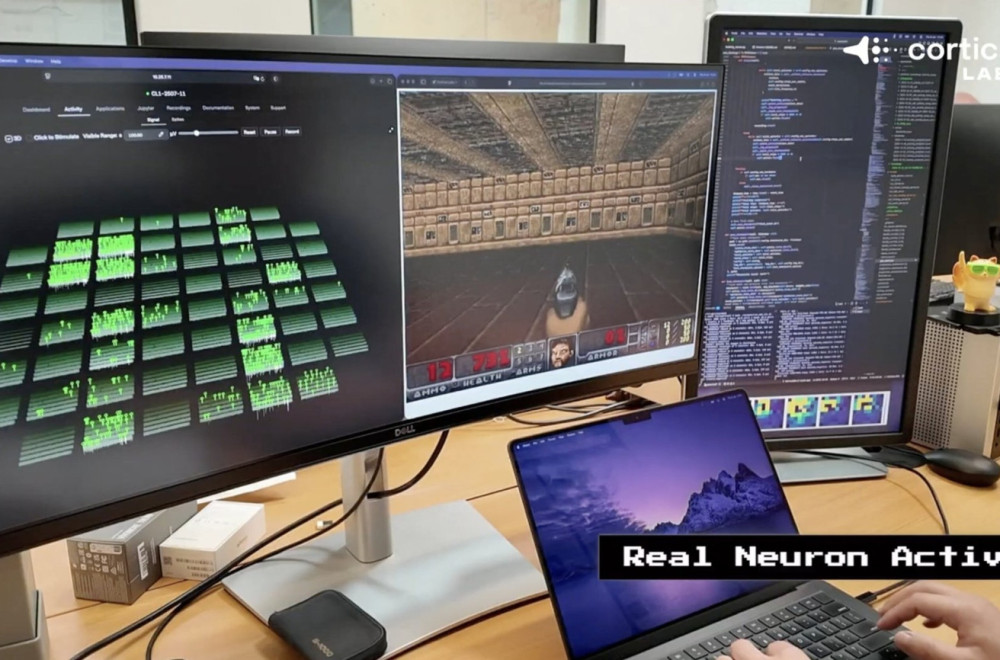 Naučnici stvorili živi računar bez mozga FOTO