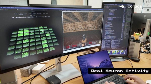 Naučnici stvorili "živi računar bez mozga" FOTO