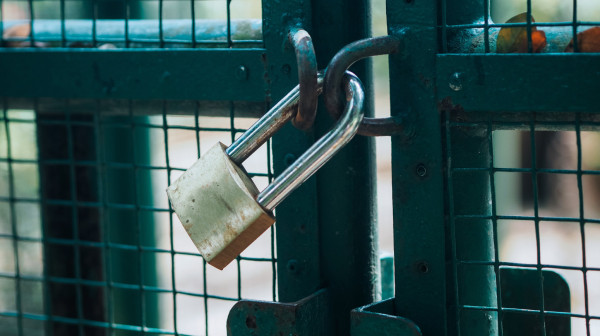 Propada firma za firmom: Najveći broj bankrotstava u Nemačkoj neviđen 20 godina