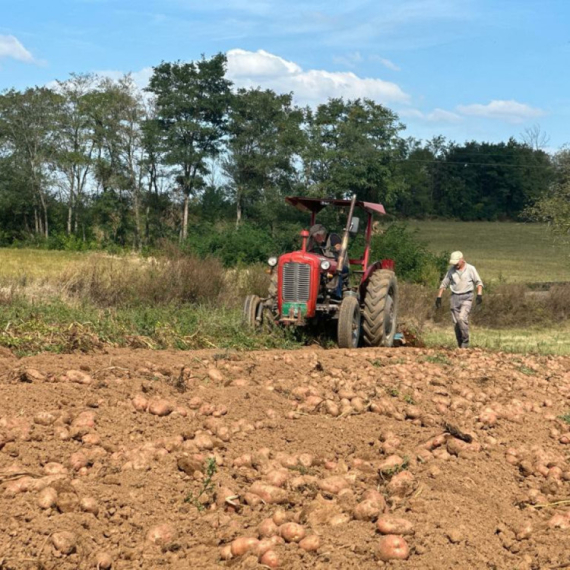 Čačanski čips među najpopularnijim u regionu