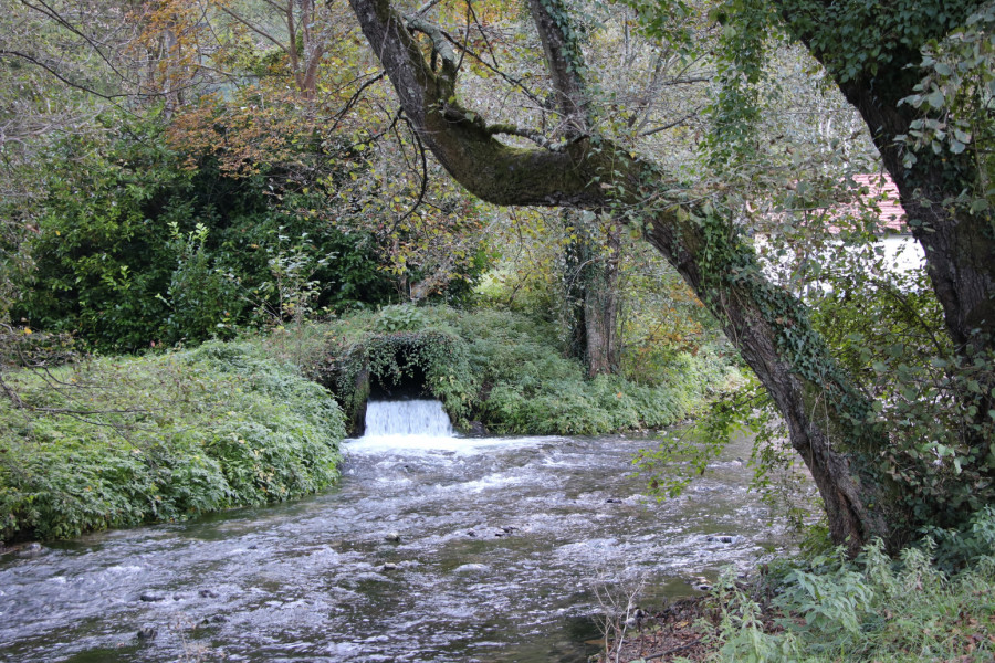 Danas je Međunarodni dan reka, a Srbija ima svoj dragulj za ponos: Vrelo izvire podno Tare FOTO