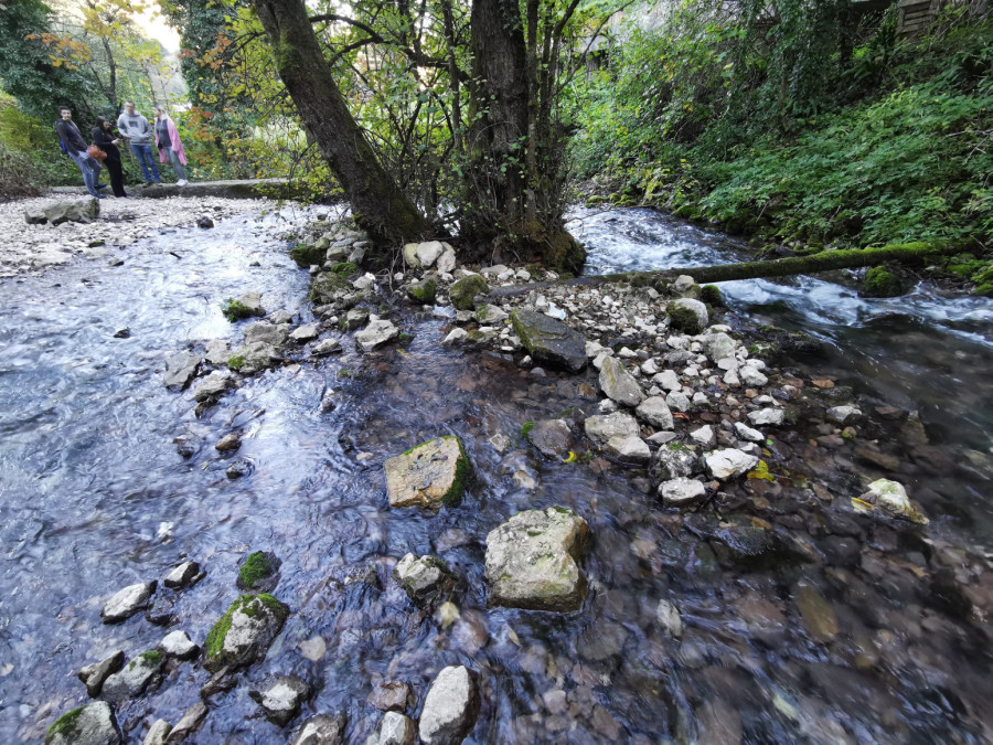 Danas je Međunarodni dan reka, a Srbija ima svoj dragulj za ponos: Vrelo izvire podno Tare FOTO